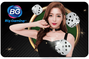 เว็บไซต์ คาสิโน