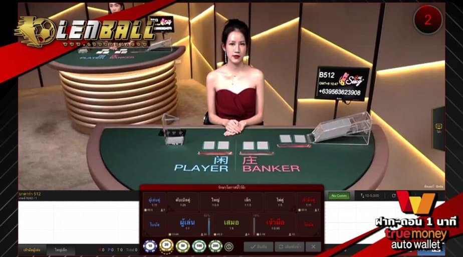 เว็บไซต์ คาสิโน